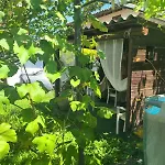 Bed & Breakfast Ma Maison Govone