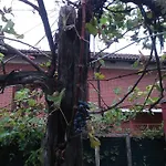 Ma Maison Govone