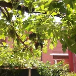 Ma Maison Alojamento de Acomodação e Pequeno-almoço