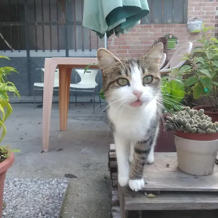 Ma Maison Bed & Breakfast