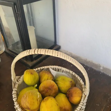 Bed & Breakfast Ma Maison