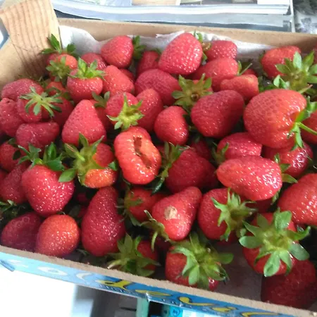 住宿加早餐酒店 Ma Maison