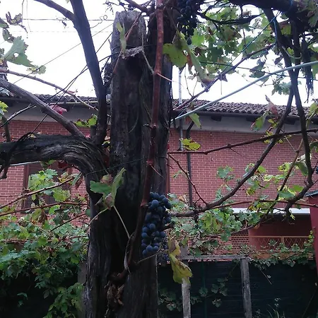 玛玛森住宿加早餐旅馆 戈沃内