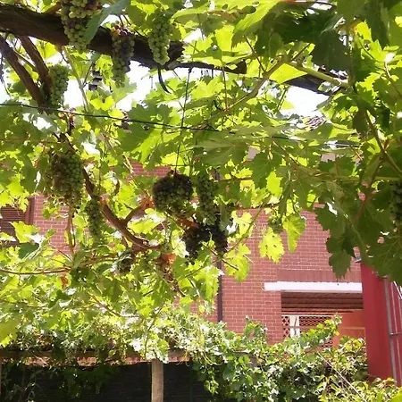 Ma Maison Bed & Breakfast