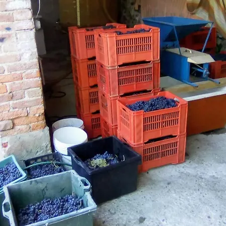 Bed & Breakfast Ma Maison 4*