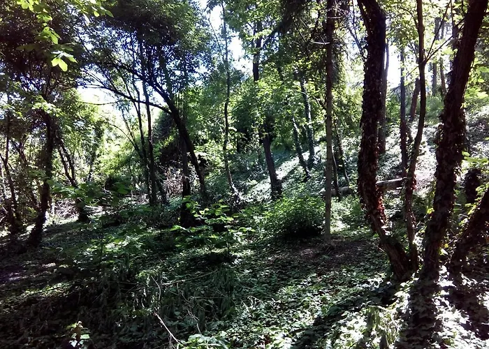 Ma Maison 4* ゴヴォーネ