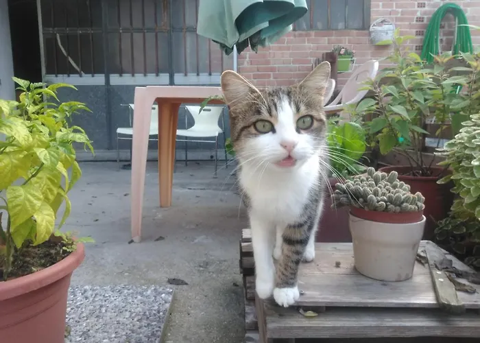 Ma Maison ベッド・アンド・ブレックファスト