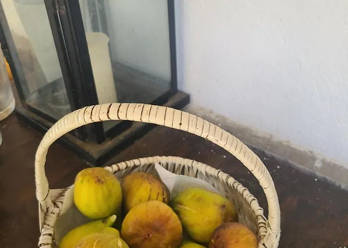 住宿加早餐酒店 Ma Maison