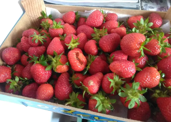 ベッド・アンド・ブレックファスト Ma Maison