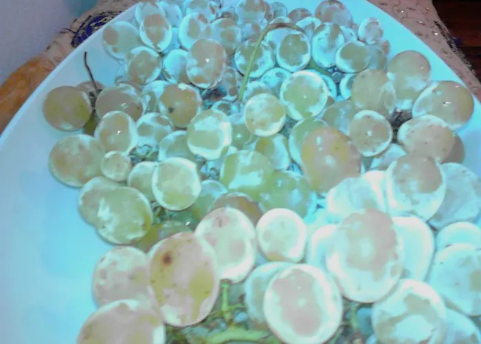 Ma Maison 4* 戈沃内