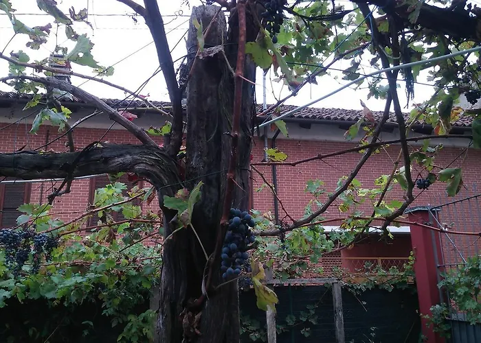 Ma Maison ゴヴォーネ