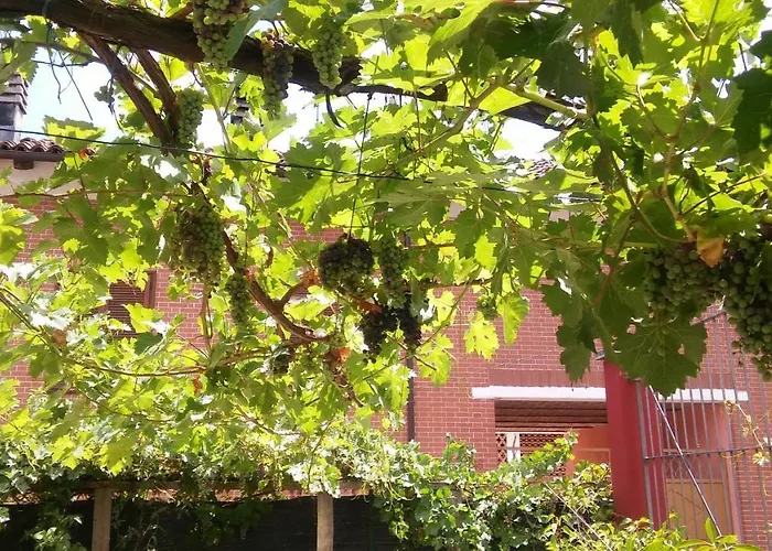 Ma Maison ベッド・アンド・ブレックファスト