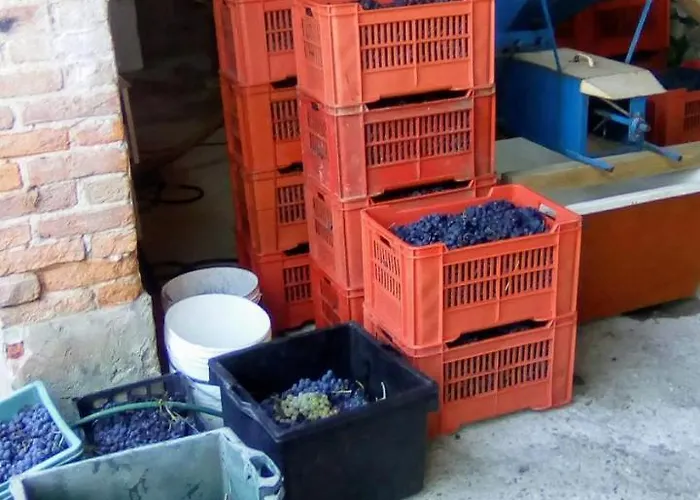 Nocleg ze śniadaniem Ma Maison 4*